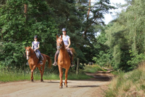 Als Gäste von Ferienhaus Garden können Sie ganzjährig reiten - in der Reithalle oder im freien Gelände